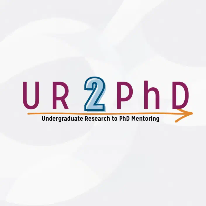 An optional description of the image for screen readers.